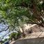 3 bedroom town house for rent oroklini larnaca 8804353 thumbnail 16787392