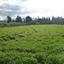 land for sale poli chrysochous paphos 946353 thumbnail 15599550
