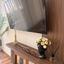 2 bedroom apartment for rent pallouriotissa nicosia 8936453 thumbnail 17640739