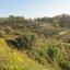 plot for sale pentalia paphos 1681453 thumbnail 16182853