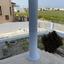 4 bedroom detached house for sale aradippou larnaca 8587553 thumbnail 15757681