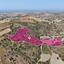 land for sale choli paphos 8629553 thumbnail 15868892