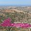 land for sale choli paphos 8629553 thumbnail 15868895