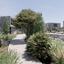 3 bedroom detached house for sale geroskipou plage paphos 7736653 thumbnail 15020060