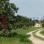 land for sale alaminos larnaca 8548653 thumbnail 15538453