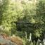 2 bedroom bungalow for sale palaichori morfou nicosia 1152753 thumbnail 13502272