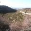 land for sale tsada paphos 8630753 thumbnail 16318206
