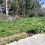 plot for sale strovolos nicosia 8238753 thumbnail 16843487