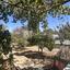 3 bedroom detached house for rent souni zanakia limassol 8936853 thumbnail 17748475