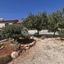 3 bedroom detached house for rent souni zanakia limassol 8936853 thumbnail 17748477