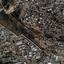 land for sale agia fyla limassol 1735853 thumbnail 6966847