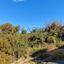 land for sale agia fyla limassol 1735853 thumbnail 6966848