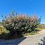 land for sale agia fyla limassol 1735853 thumbnail 6966851
