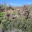 land for sale kalo chorio lemesou limassol 1146853 thumbnail 5549467