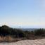 land for sale tala paphos 8813853 thumbnail 16873461