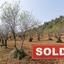 land sold gourri nicosia 8003853 thumbnail 12747652