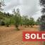 land sold gourri nicosia 8003853 thumbnail 12747672