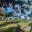 3 bedroom apartment for sale potamos germasogeias limassol 1586953 thumbnail 16829088