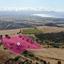 land for sale pelathousa paphos 1387953 thumbnail 14114449