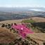 land for sale pelathousa paphos 1387953 thumbnail 14114469