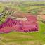 land for sale palaiometocho nicosia 8404063 thumbnail 14908153