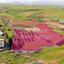 land for sale palaiometocho nicosia 8404063 thumbnail 14908154