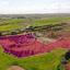land for sale palaiometocho nicosia 8404063 thumbnail 14908155