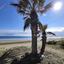 2 bedroom ground floor apartment for rent dekeleia larnaca 8203163 thumbnail 14177172