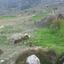 land for sale drousia paphos 946163 thumbnail 15599917