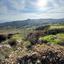 land for sale drousia paphos 946163 thumbnail 17187516