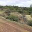 land for sale lysos paphos 8396163 thumbnail 15717471