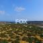 land for sale paramali limassol 7931263 thumbnail 11361554