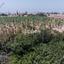 4 bedroom detached house for rent peyia paphos 8804363 thumbnail 16787697