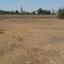 plot for sale nisou nicosia 1098363 thumbnail 16180147