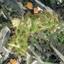 land for sale agios tychonas limassol 8175463 thumbnail 14017529