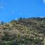 land for sale amargeti paphos 1667463 thumbnail 17420462