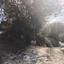 land for sale kinousa paphos 8408463 thumbnail 16306290