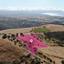 8529 SQM Land for sale in Pelathousa, Paphos thumbnail 14230816