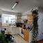 3 bedroom apartment for rent agios andreas nicosia nicosia 8749563 thumbnail 16476894
