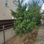 3 bedroom detached house for rent chlorakas paphos 7692563 thumbnail 16994395