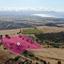 land for sale pelathousa paphos 8237563 thumbnail 14230811