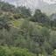 land for sale pelendri limassol 7805563 thumbnail 15596410