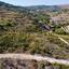 land for sale polemi paphos 826563 thumbnail 15599838