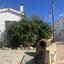 3 bedroom detached house for sale chlorakas paphos 1481663 thumbnail 17084988