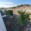 3 bedroom detached house for sale larnaca municipality larnaca 1680663 thumbnail 16445625