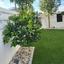 3 bedroom detached house for sale strovolos nicosia 8798663 thumbnail 16720486