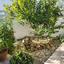 3 bedroom detached house for sale strovolos nicosia 8798663 thumbnail 16720487