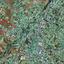 plot for sale tseri nicosia 8837663 thumbnail 17026744