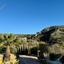 4 bedroom detached house for sale mesogi paphos 8129763 thumbnail 17270167