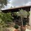 6 bedroom detached house for sale emba paphos 8966763 thumbnail 17844807